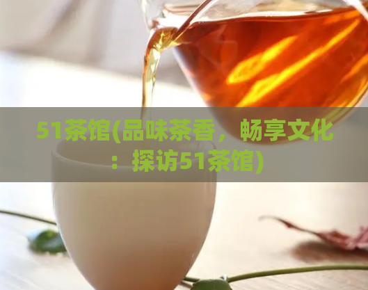51茶馆(品味茶香,畅享文化:探访51茶馆)