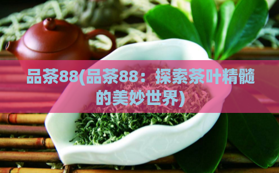 品茶88(品茶88:探索茶叶精髓的美妙世界)