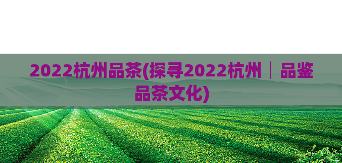 2022杭州品茶(探寻2022杭州│品鉴品茶文化)