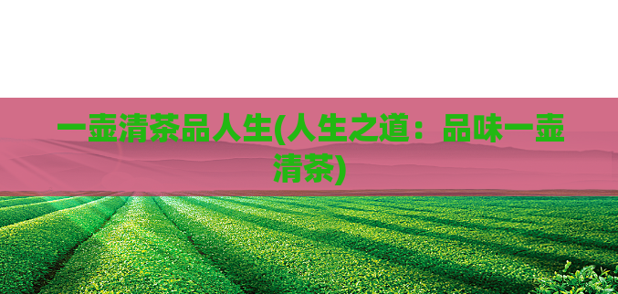 一壶清茶品人生(人生之道:品味一壶清茶)