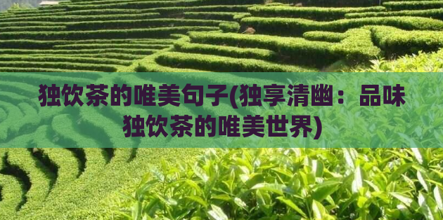 独饮茶的唯美句子(独享清幽:品味独饮茶的唯美世界)