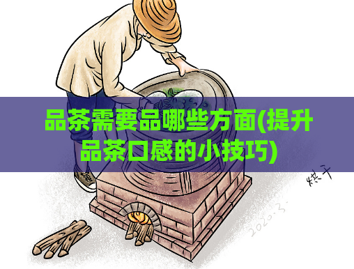 品茶需要品哪些方面(提升品茶口感的小技巧)