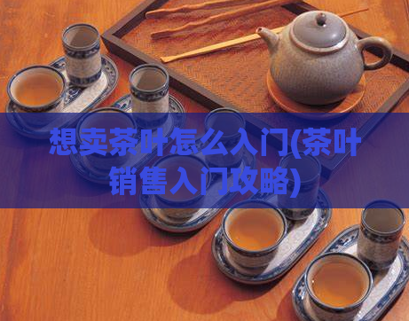 想卖茶叶怎么入门(茶叶销售入门攻略)