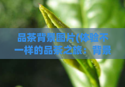 品茶背景图片(体验不一样的品茶之旅：背景图带你领略不一样的茶艺文化)
