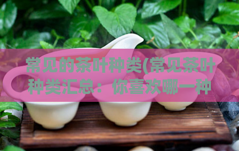 常见的茶叶种类(常见茶叶种类汇总：你喜欢哪一种？)