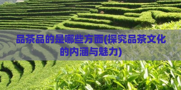 品茶品的是哪些方面(探究品茶文化的内涵与魅力)