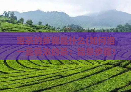 泡茶的步骤是什么(如何泡一壶香浓的茶:简单步骤!)