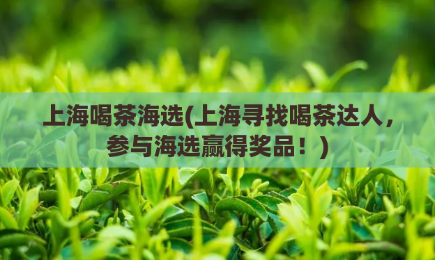 上海喝茶海选(上海寻找喝茶达人,参与海选赢得奖品!)