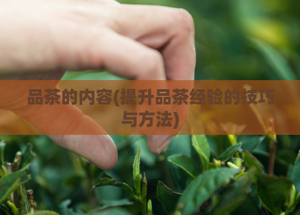 品茶的内容(提升品茶经验的技巧与方法)