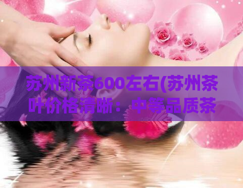 苏州新茶600左右(苏州茶叶价格清晰:中等品质茶叶售价在600元左右)