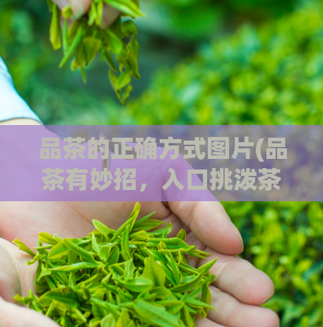 品茶的正确方式图片(品茶有妙招，入口挑泼茶！)