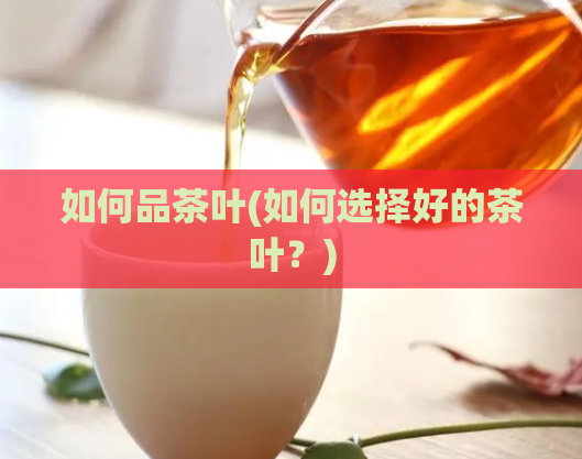 如何品茶叶(如何选择好的茶叶?)