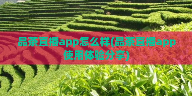 品茶直播app怎么样(品茶直播app使用体验分享)