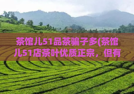 茶馆儿51品茶骗子多(茶馆儿51店茶叶优质正宗,但有骗子出没,如何辨别?)
