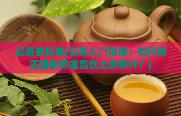 品茶的标准(品茶入门指南：如何用正确的标准品饮上乘茶叶？)