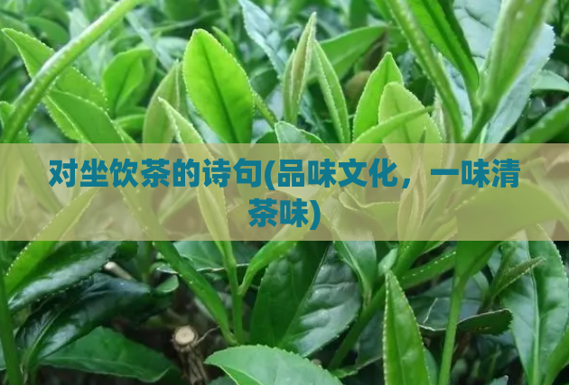 对坐饮茶的诗句(品味文化，一味清茶味)