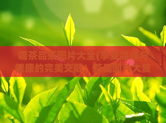 喝茶品茶图片大全(享受品味与健康的完美交融！茶品图片大赏)