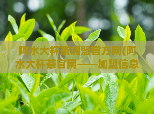 阿水大杯茶加盟官方网(阿水大杯茶官网——加盟信息一键查询)