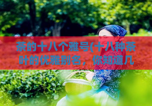 茶的十八个雅号(十八种茶叶的优雅别名,你知道几个?)