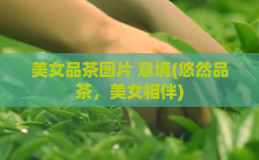 美女品茶图片 意境(悠然品茶，美女相伴)