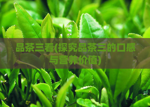 品茶三看(探究品茶三的口感与营养价值)