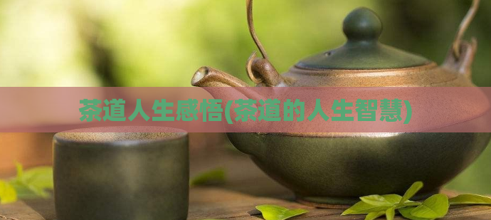 茶道人生感悟(茶道的人生智慧)