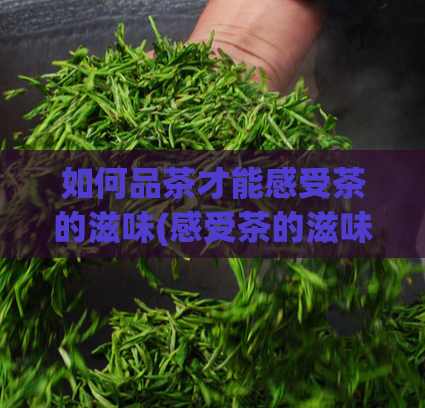 如何品茶才能感受茶的滋味(感受茶的滋味，如何品出茶的美味)