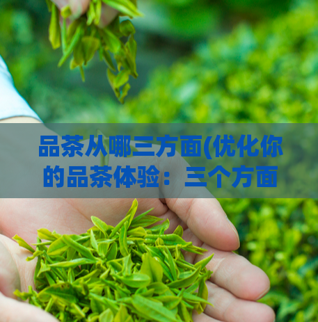 品茶从哪三方面(优化你的品茶体验:三个方面让你更畅快享受品茶过程)