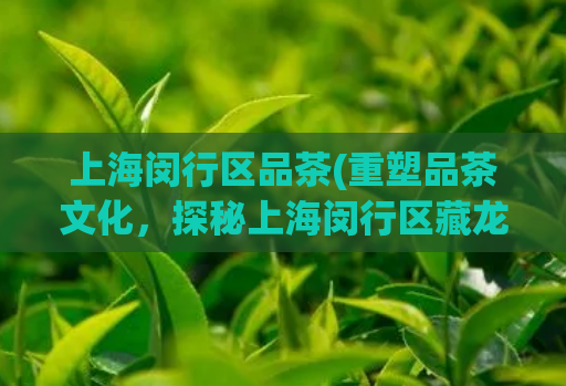 上海闵行区品茶(重塑品茶文化,探秘上海闵行区藏龙卧虎)