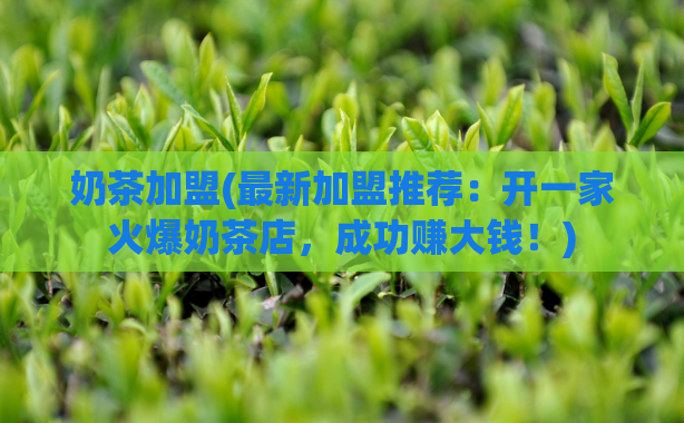 奶茶加盟(最新加盟推荐:开一家火爆奶茶店,成功赚大钱!)