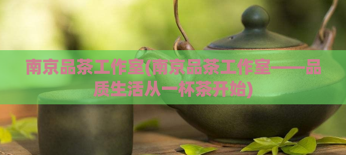 南京品茶工作室(南京品茶工作室——品质生活从一杯茶开始)