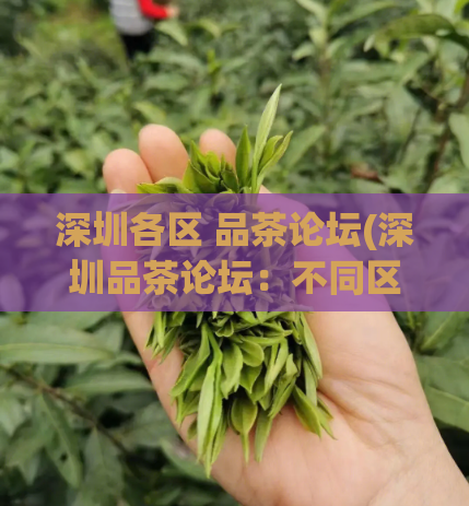 深圳各区 品茶论坛(深圳品茶论坛：不同区域的品茶文化探索)