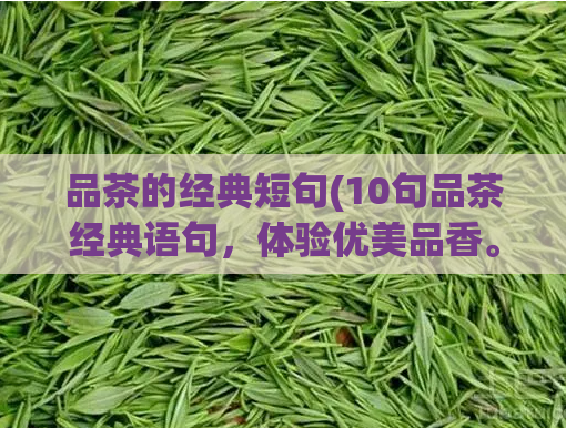 品茶的经典短句(10句品茶经典语句,体验优美品香。)