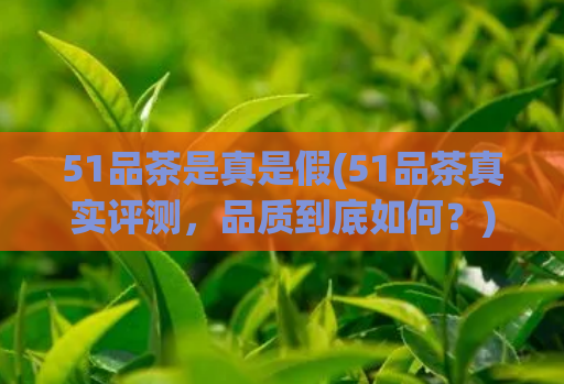 51品茶是真是假(51品茶真实评测,品质到底如何?)