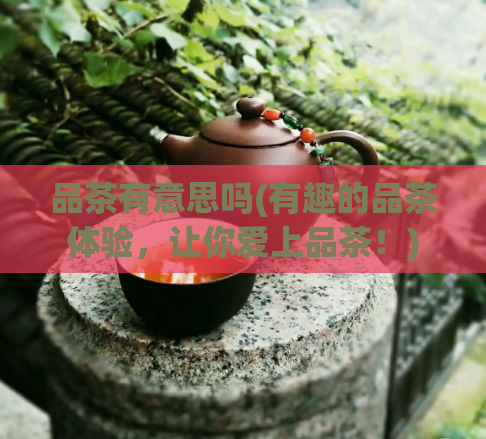 品茶有意思吗(有趣的品茶体验,让你爱上品茶!)