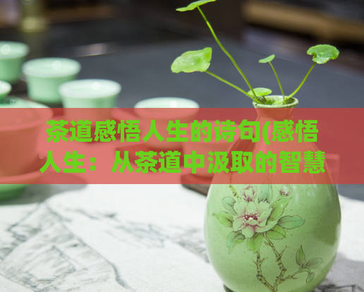茶道感悟人生的诗句(感悟人生:从茶道中汲取的智慧)