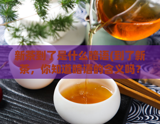 新茶到了是什么暗语(到了新茶,你知道暗语的含义吗?)