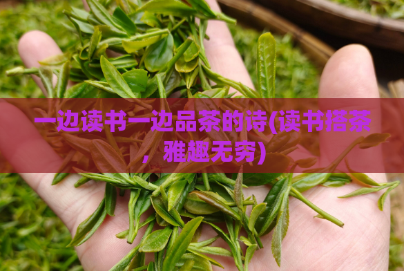 一边读书一边品茶的诗(读书搭茶，雅趣无穷)