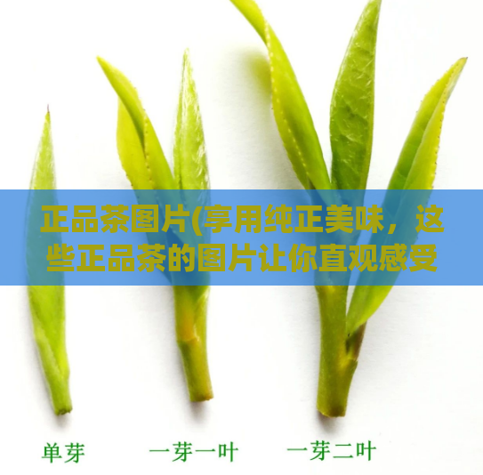 正品茶图片(享用纯正美味，这些正品茶的图片让你直观感受)