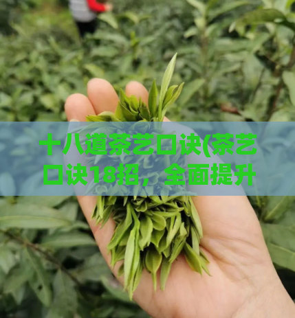 十八道茶艺口诀(茶艺口诀18招，全面提升新手技能)