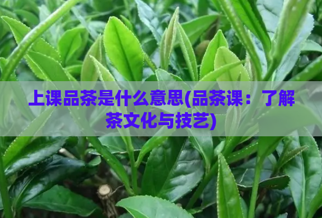 上课品茶是什么意思(品茶课：了解茶文化与技艺)