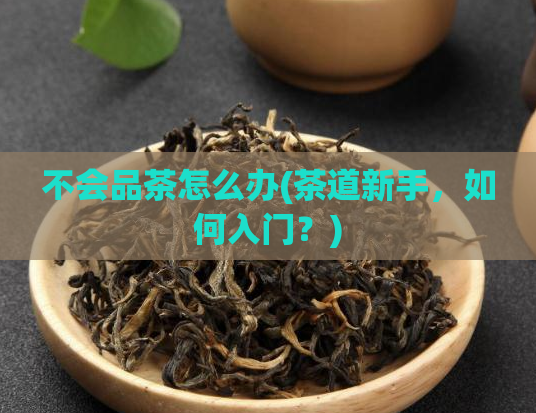 不会品茶怎么办(茶道新手,如何入门?)