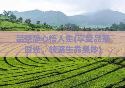 品茶静心悟人生(享受品茶时光，领略生命奥妙)