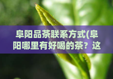 阜阳品茶联系方式(阜阳哪里有好喝的茶?这里为你推荐!)