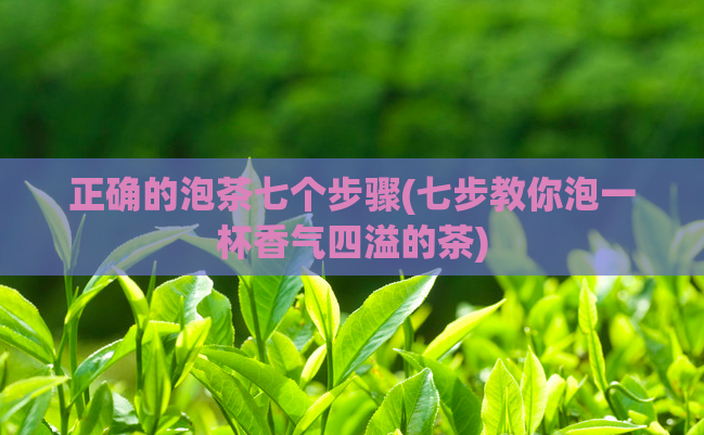 正确的泡茶七个步骤(七步教你泡一杯香气四溢的茶)