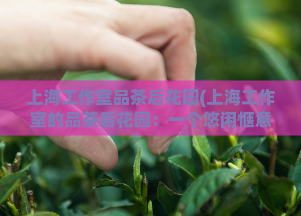 上海工作室品茶后花园(上海工作室的品茶后花园:一个悠闲惬意的天地)
