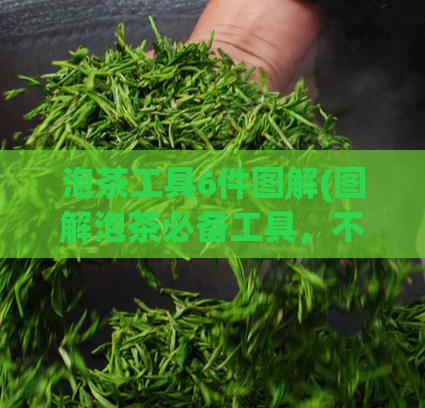 泡茶工具6件图解(图解泡茶必备工具，不容错过！)