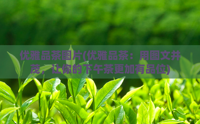 优雅品茶图片(优雅品茶：用图文并茂，让你的下午茶更加有品位)