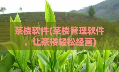 茶楼软件(茶楼管理软件,让茶楼轻松经营)
