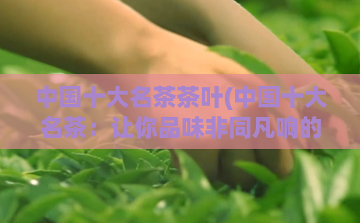 中国十大名茶茶叶(中国十大名茶：让你品味非同凡响的茶文化)